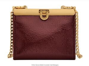 FOSSIL Penrose Wallet Crossbody Bag Small Red Mahogany Chain Strap NWT